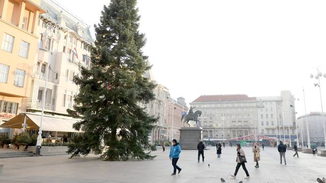 Zagreb: Na Trgu bana Jelačića postavljen bor