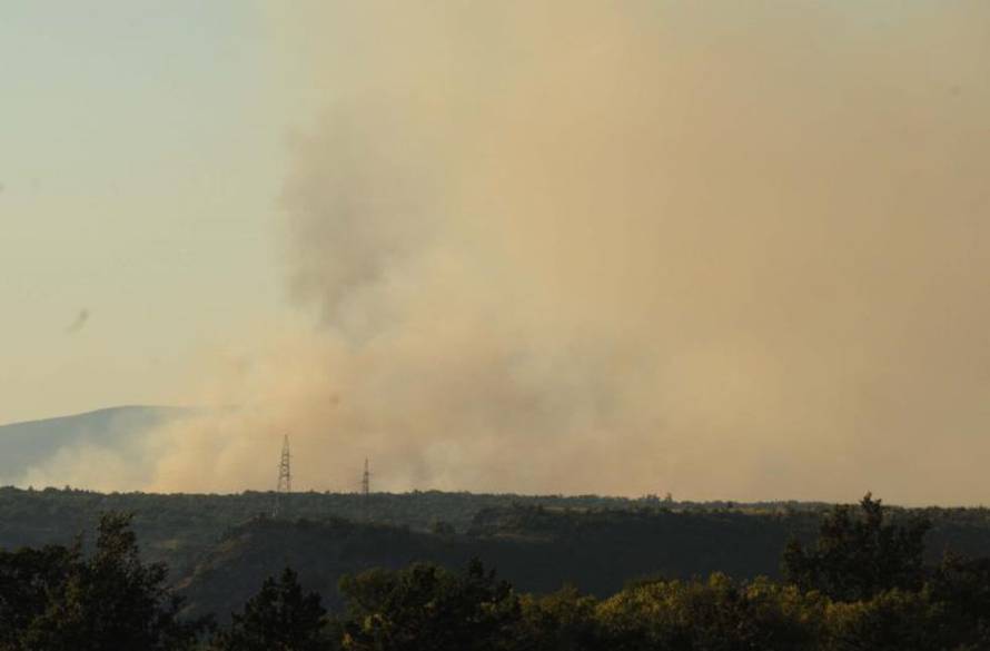 Hrvoje Jelavić/Pixsell