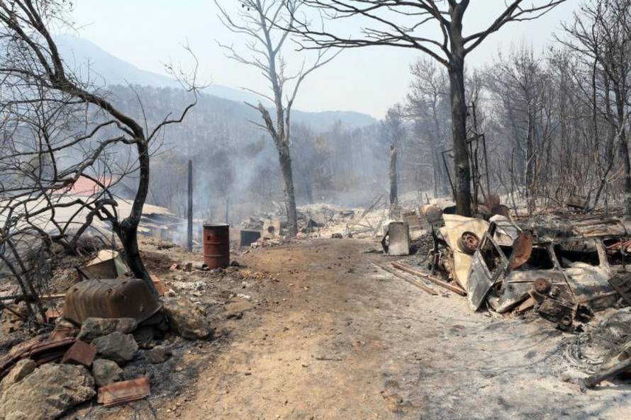 Grgo Jelavić/Pixsell