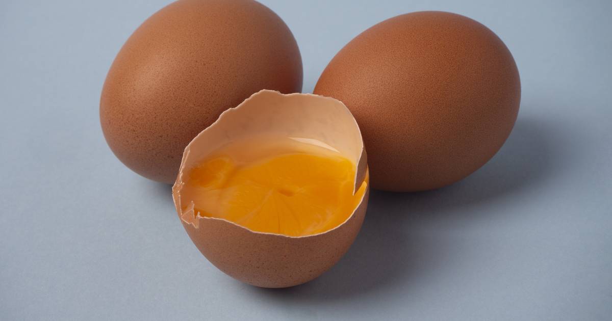 Unusual Spot in Eggshell Causes and Safety Implications News Huwa