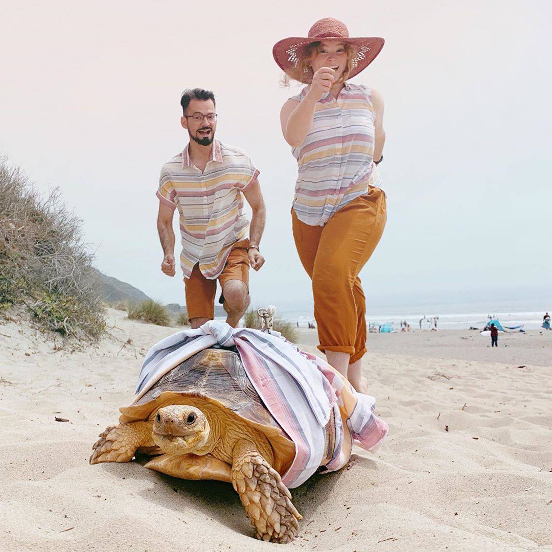 Vlasnici kornjaču Ethel oblače isto kao i sebe: 'Preslatka je'