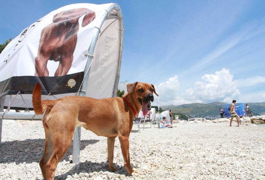 Ivana Ivanović/Pixsell