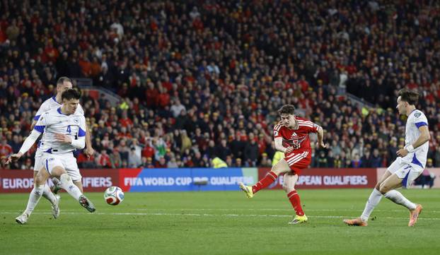 FIFA World Cup - UEFA Qualifiers - Semi Final - Wales v Bosnia and Herzegovina