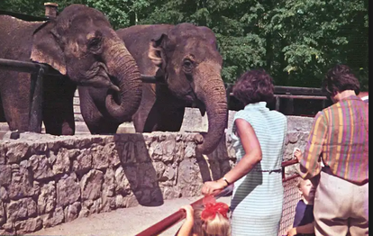 FOTO Ovo su prve životinje koje su živjele u zagrebačkom ZOO-u