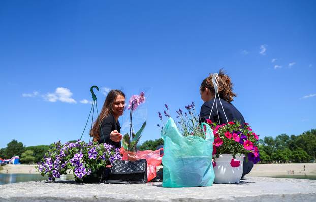 Zagreb: Sunce obasjalo Flora Art