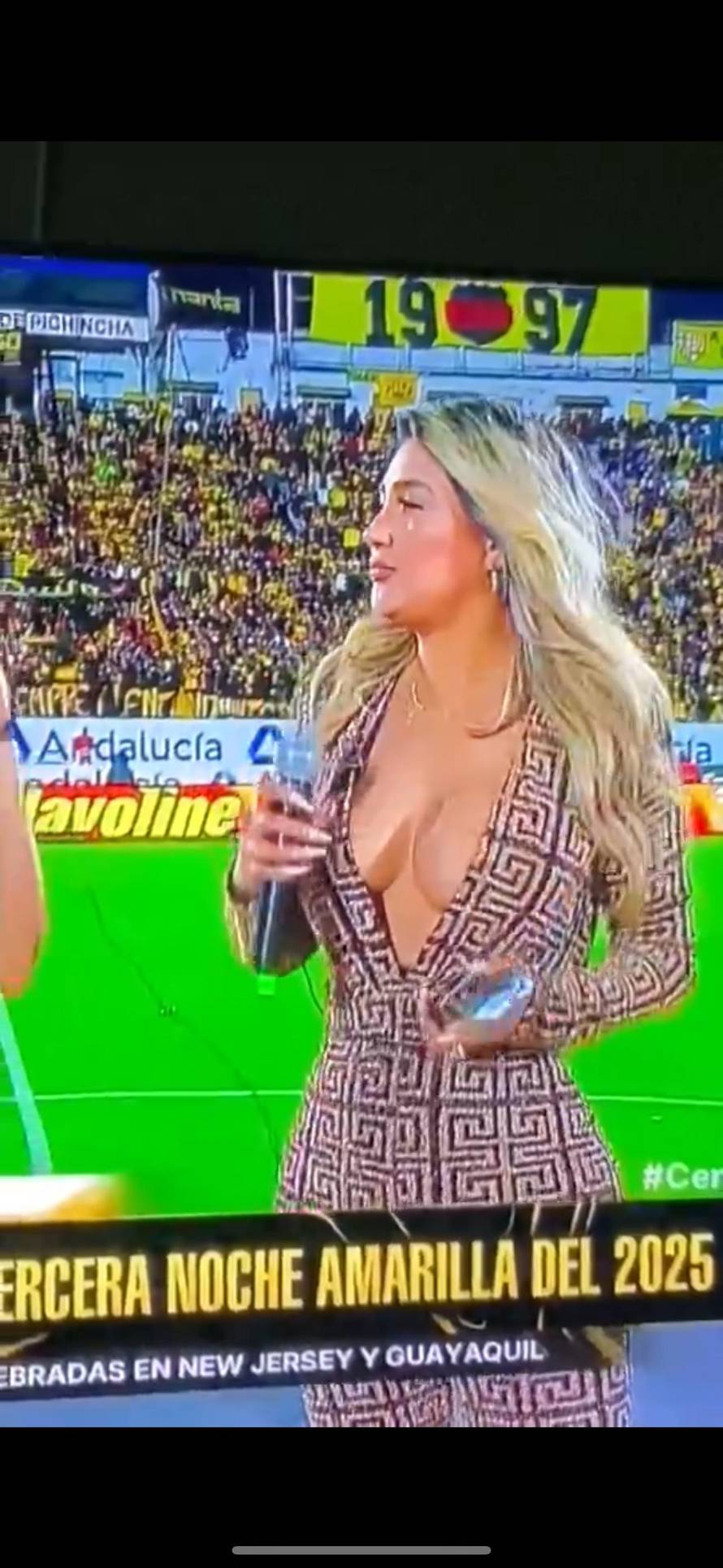 VIDEO Voditeljica se borila s dekolteom usred TV prijenosa: 'Više nitko nije pratio nogomet'