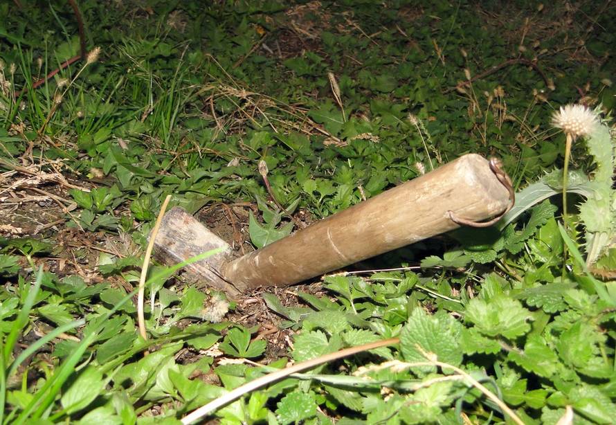 Maja Šantoši/Pixsell