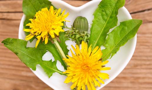 Svi ga &ccaron;upaju iz vrta, a ne znaju koliko je zdrav: Ovaj korov je prava superhrana, evo recepata