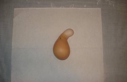 Kokoš iz Slivnog snijela je jaje koje nalikuje na tikvicu