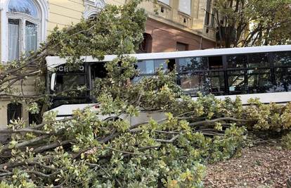 Užas u Mađarskoj! Bus se zabio u zid škole, 22 ozlijeđenih