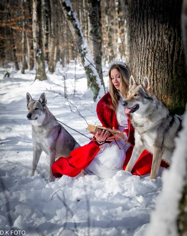 GALERIJA Nastali su od vukova, rođaci su Nazgula s Olimpijskih igara i žive kraj Velike Gorice!