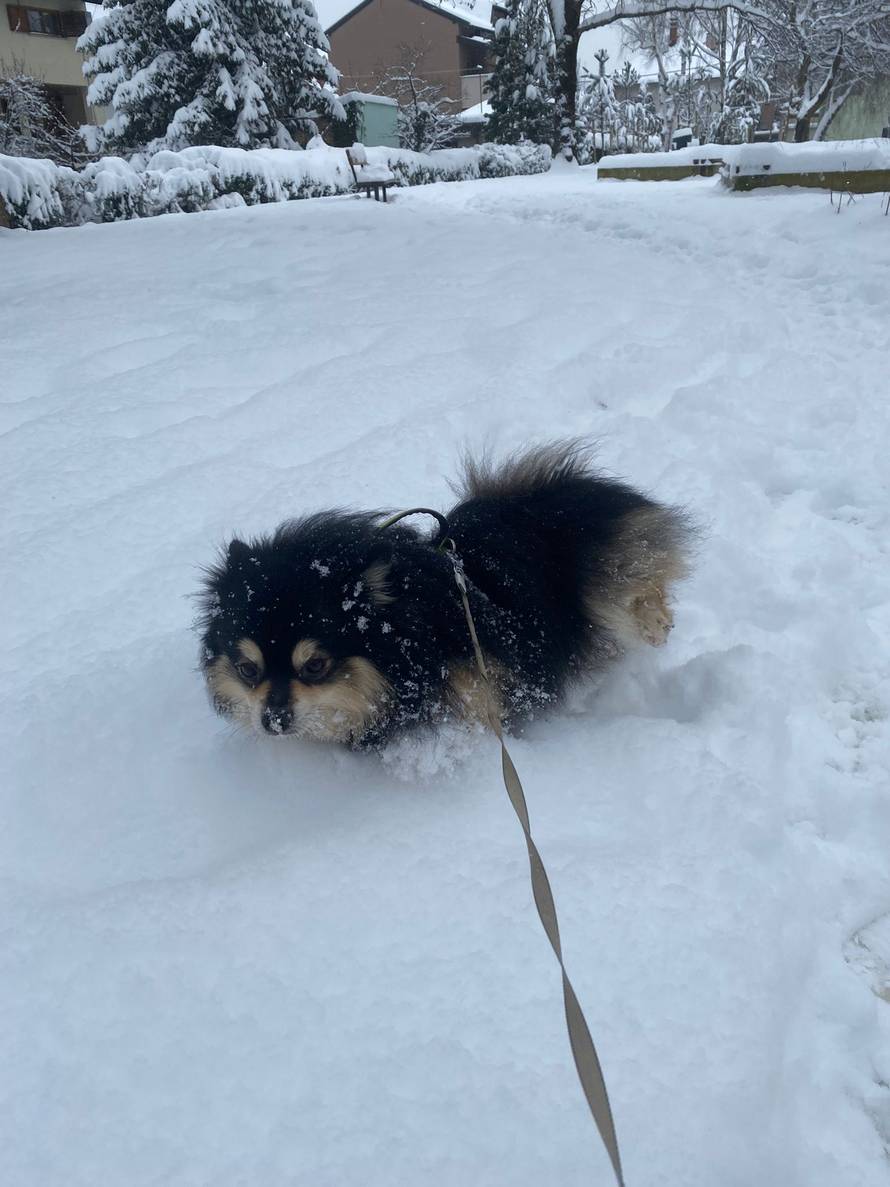 Općinska komunalka sama 'izlopatala' snijeg sa staze: 'Nema nikakve drame u tome'