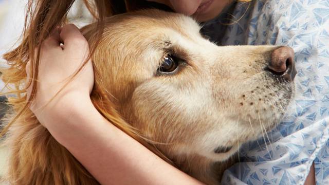 Kako nam psi pokazuju emocije i mogu li se stvarno zaljubiti?