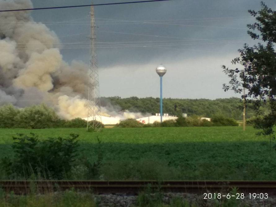 Izgorjelo 1000 svinja na farmi? Veliki požar su gasili do jutra