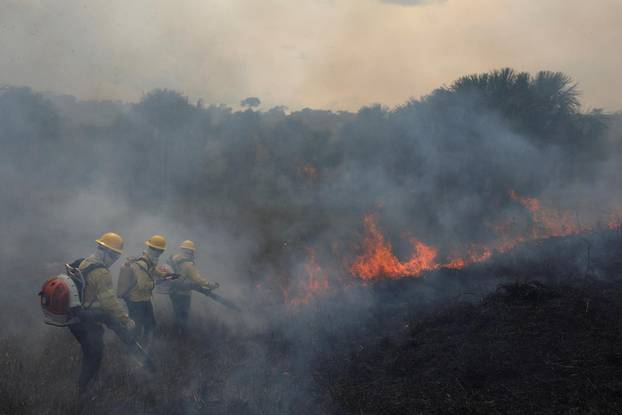 FILE PHOTO: Fires surge in Brazilian Amazon for third straight year in August, in Apui