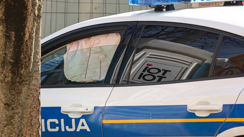 Kamionom udario curicu (7) na pješačkom prijelazu u Varaždinu 22 pxl 230325 130201041 wAa4p4s