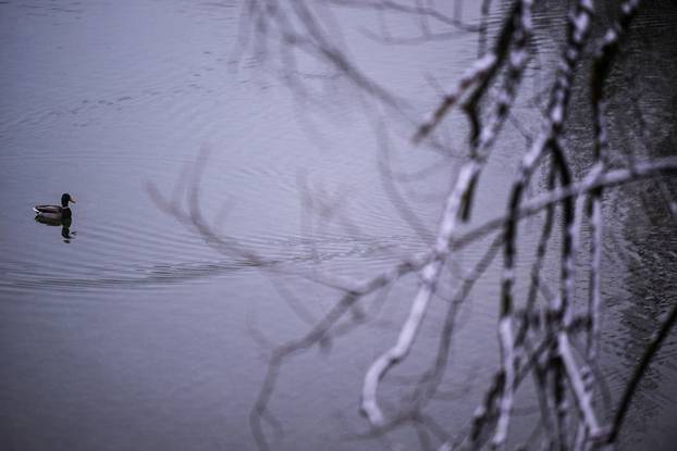 Zagreb: Zimska idila na Bundeku