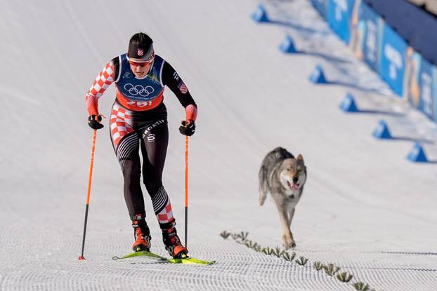 Val di Fiemme, Italy 20260218. A dog runs next to Tena Hadzic from Croatia during the cross-country team sprint on Lago di Tesero during the Winter Olympics in Milano Cortina 2026. Photo: Terje Pedersen / NTB   This text is auto translated