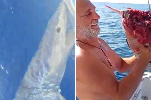 VIDEO Ralje kod Žirja! Ribar u šoku: Morski pas mako zagrizao mi je brod,  pojeo je i dio ulova