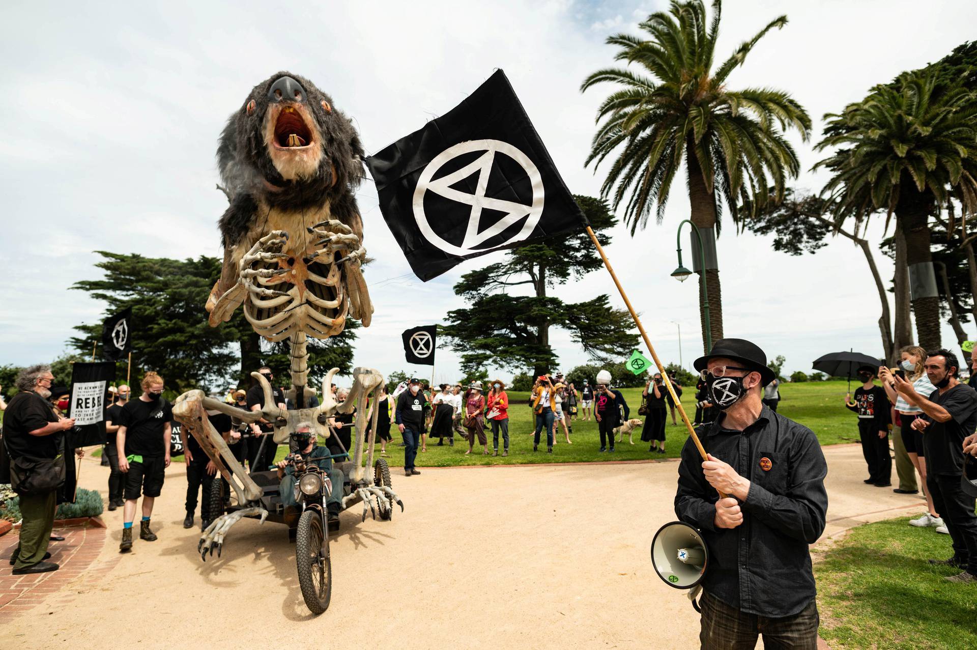 Extinction Rebellion activists hold a koala funeral in Melbourne