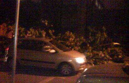 U Zagrebu kraj škole drvo se odlomilo i palo na auto