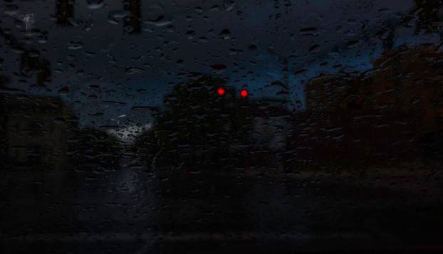 FOTO Djecu je prestravilo ono što su vidjela u šumi:  'Čudovište je bilo ogromno, bježali smo...'