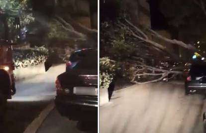 VIDEO Jaka bura u Splitu srušila stablo na aute, vatrogasci imali 4 intervencije: 'Baš je strašno'