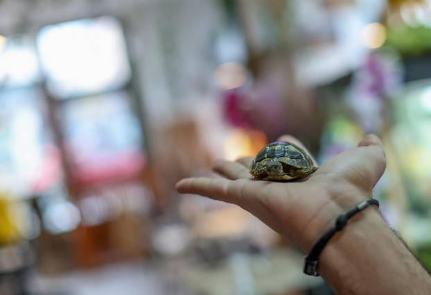 Zagreb: Emilija i Amer Alaydi otvorili su kafić Animal caffe