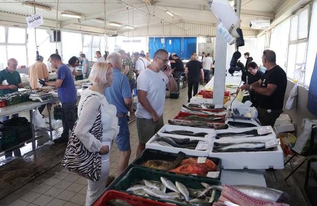 Šibenik: Bogata ponuda u šibenskoj ribarnici