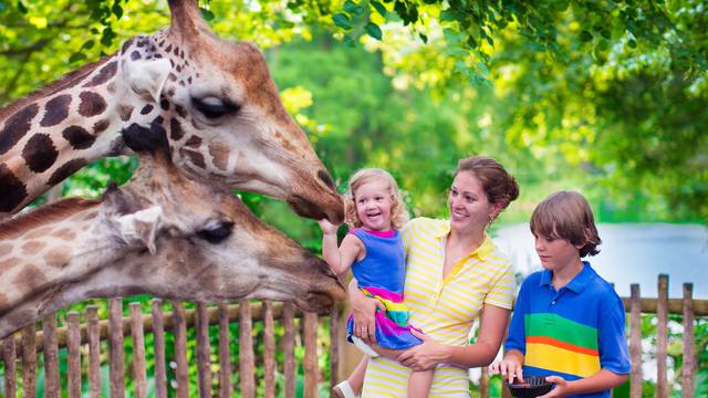 Pođite u šetnju zoološkim vrtom i upoznajte zanimljive životinje