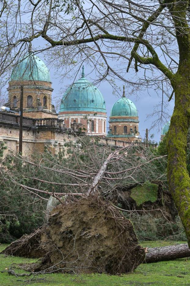 Zagreb: U nevremenu teško  oštećeno gradsko groblje Mirogoj