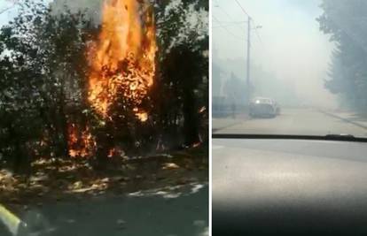Požar u Zagrebu: Gorjela trava, vatra se proširila na drugu ulicu