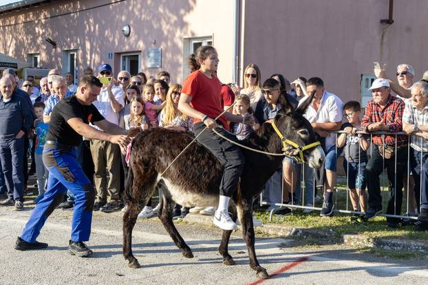 Pula: Održana je tradicionalna 55. Trka na tovari