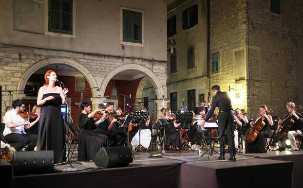 Šibenik: Ro?endan Arsena Dedi?a obilježen koncertom Gradskog komornog orkestra