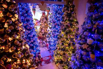 Couple lives with 350 Christmas trees