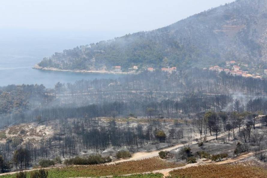 Grgo Jelavić/PIXSELL