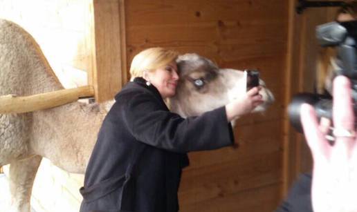 Kolinda preselila ured i snimila selfie s đurđevačkom devom