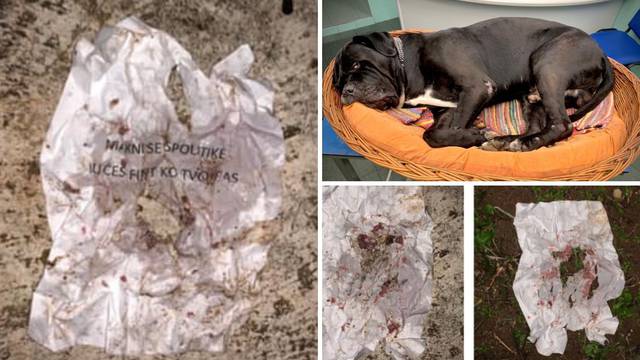 Vijećniku u Čavlima otrovali psa i ostavili poruku: 'Makni se iz politike ili ćeš završiti kao on'