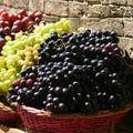 Sve dobrobiti grožđa: Bogato je antioksidansima i vitaminima