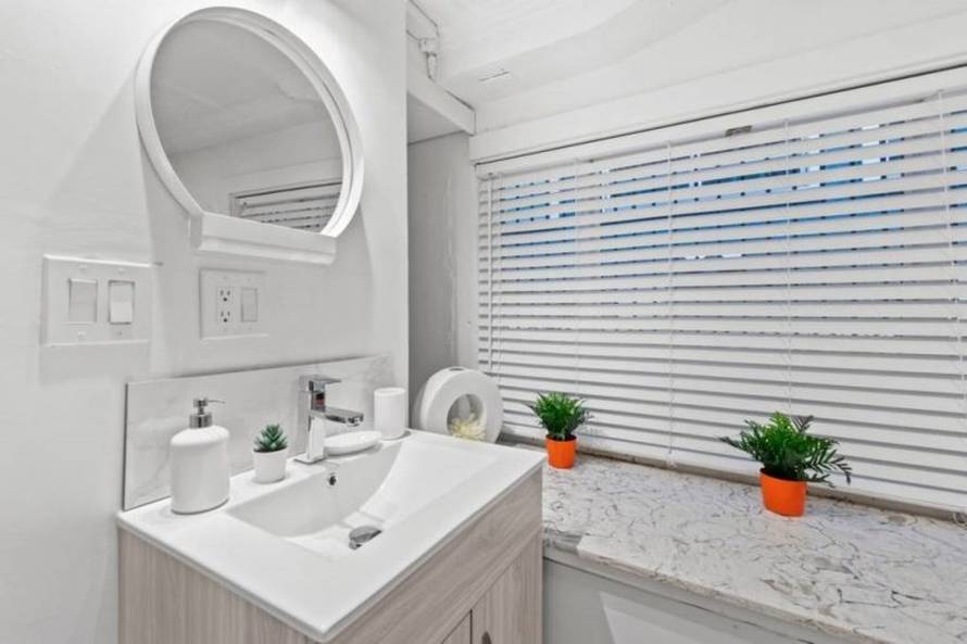 Foto: Oddity Central