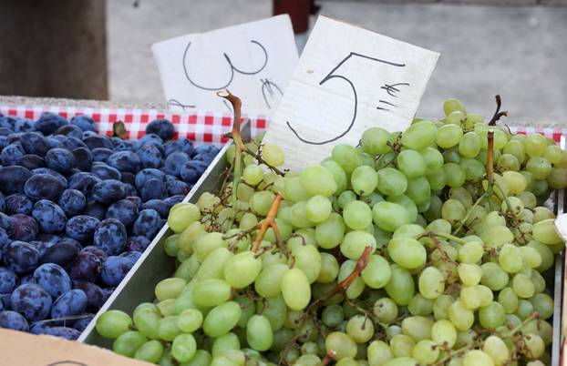 Šibenik: Ponuda vo?a i povr?a na šibenskoj tržnici