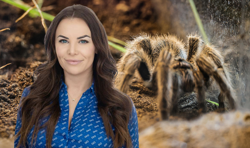 Kandidatkinja za ameri&ccaron;ki Senat podstanarki bacila tarantulu da je istjera! Osu&dstrok;ena je za nasilje