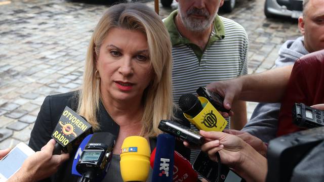 Vesna Škare - Ožbolt: 'Ne radi se o plagijatu nego o zlonamjernoj interpretaciji'