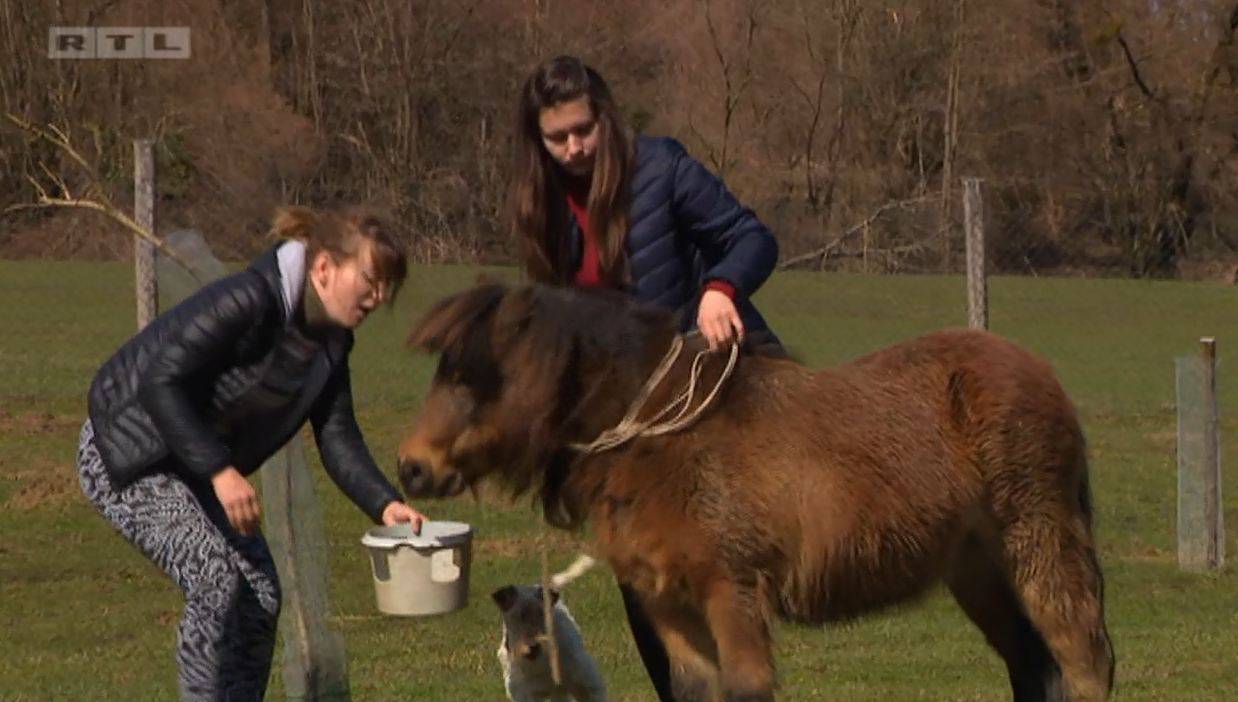 Dijana je napustila Darijevu farmu, a Ivona je zaplakala...