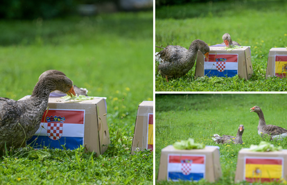 Gibona Kenta više nema pa sad pobjednike bira guska Severina! Evo tko je njezin odabir na Euru