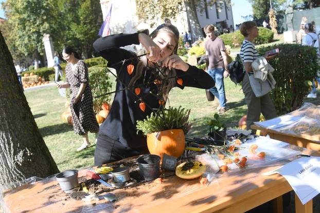 Ivanić Grad: Gastro manifestacija 'Bučijada u centru Ivanić Grada'
