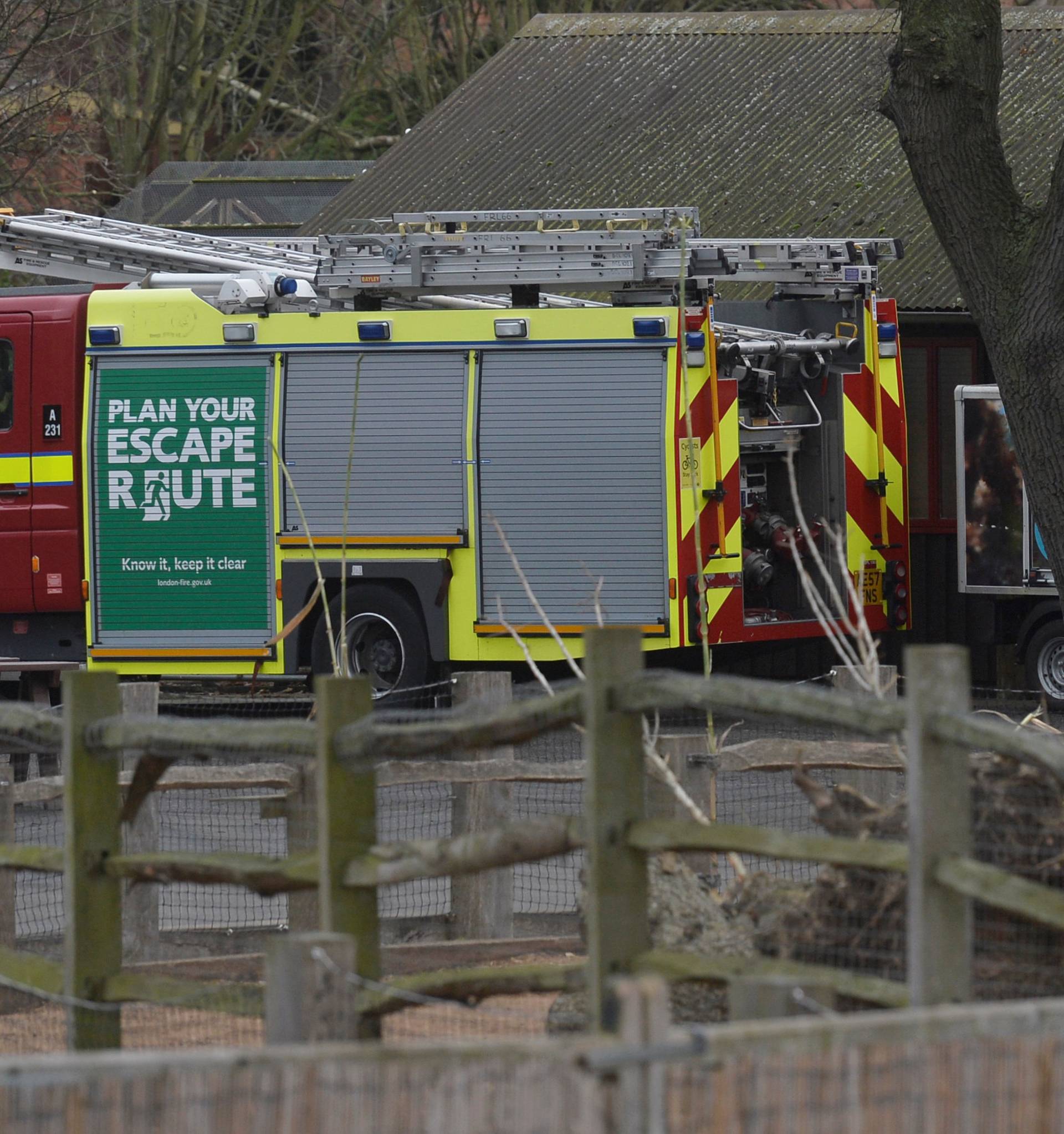 A fire engine is parked near an animal enclosure at London Zoo following a fire which broke out at a shop and cafe at the attraction, in central London