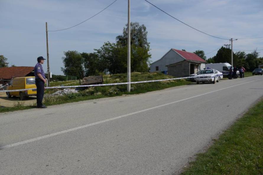 Damir Špehar/PIXSELL