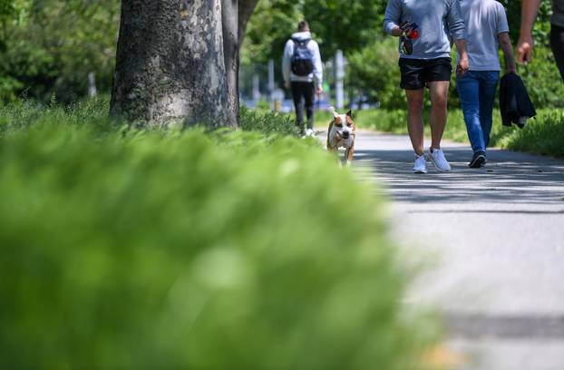 Zagreb: Nepokošena trava u Ulici grada Vukovara koja raste zbog velike količine kiše u proteklom razdoblju