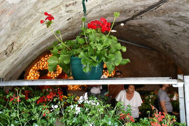 Slavonski Brod: Sajam cvijeća, sadnica, presadnica i cvijetnih dekoracija - Florafest 2026.